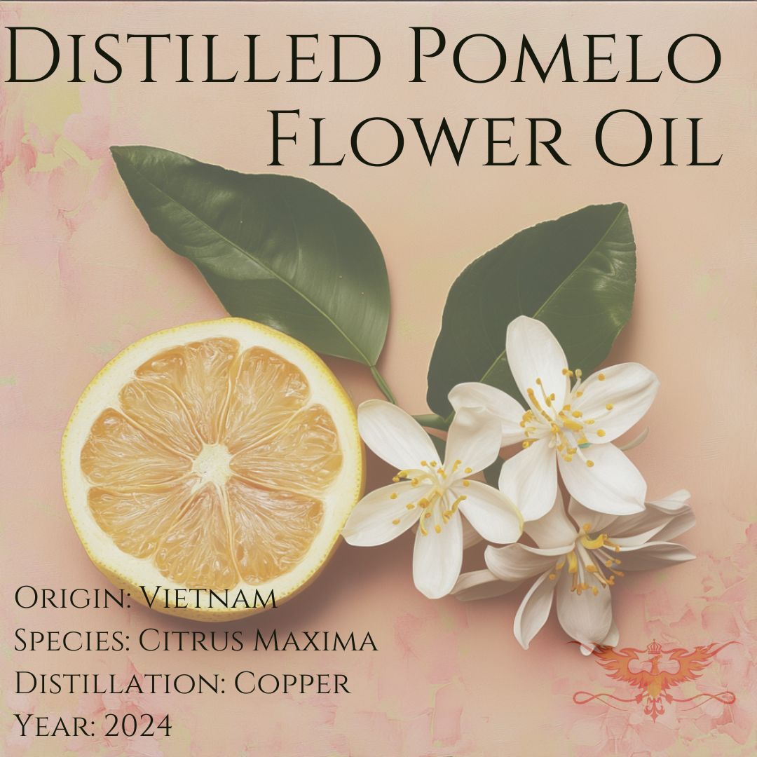 Pomelo Neroli 2024 Essential Oil RisingPhoenixPerfumery pomelo-neroli-2024-essential-oil-risingphoenixperfumery