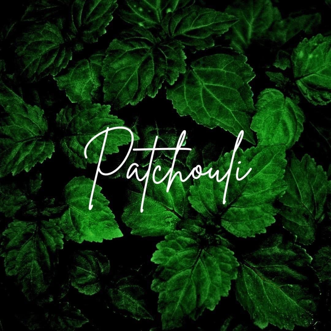 Eternal Patchouli Dahree : North Sumatran Royal Grade Essential Oil - Ateek Series