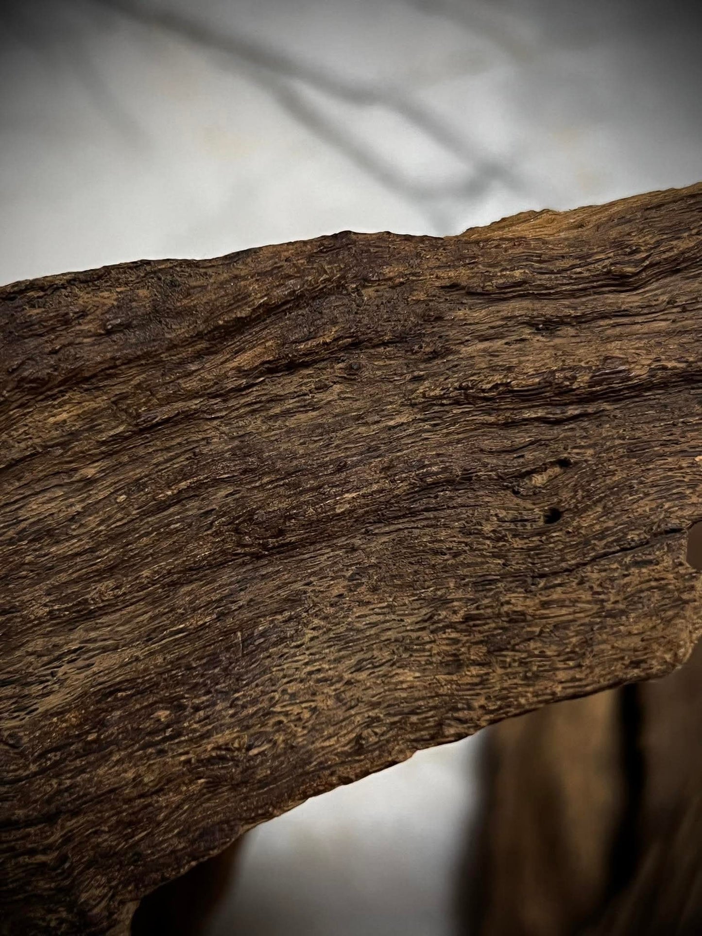 Ant and Clay 2022  - Kuala Pilah - Negeri Sembilan - West Malaysia - Pure Artisan Malay Oud Oil - Dehn al Oud