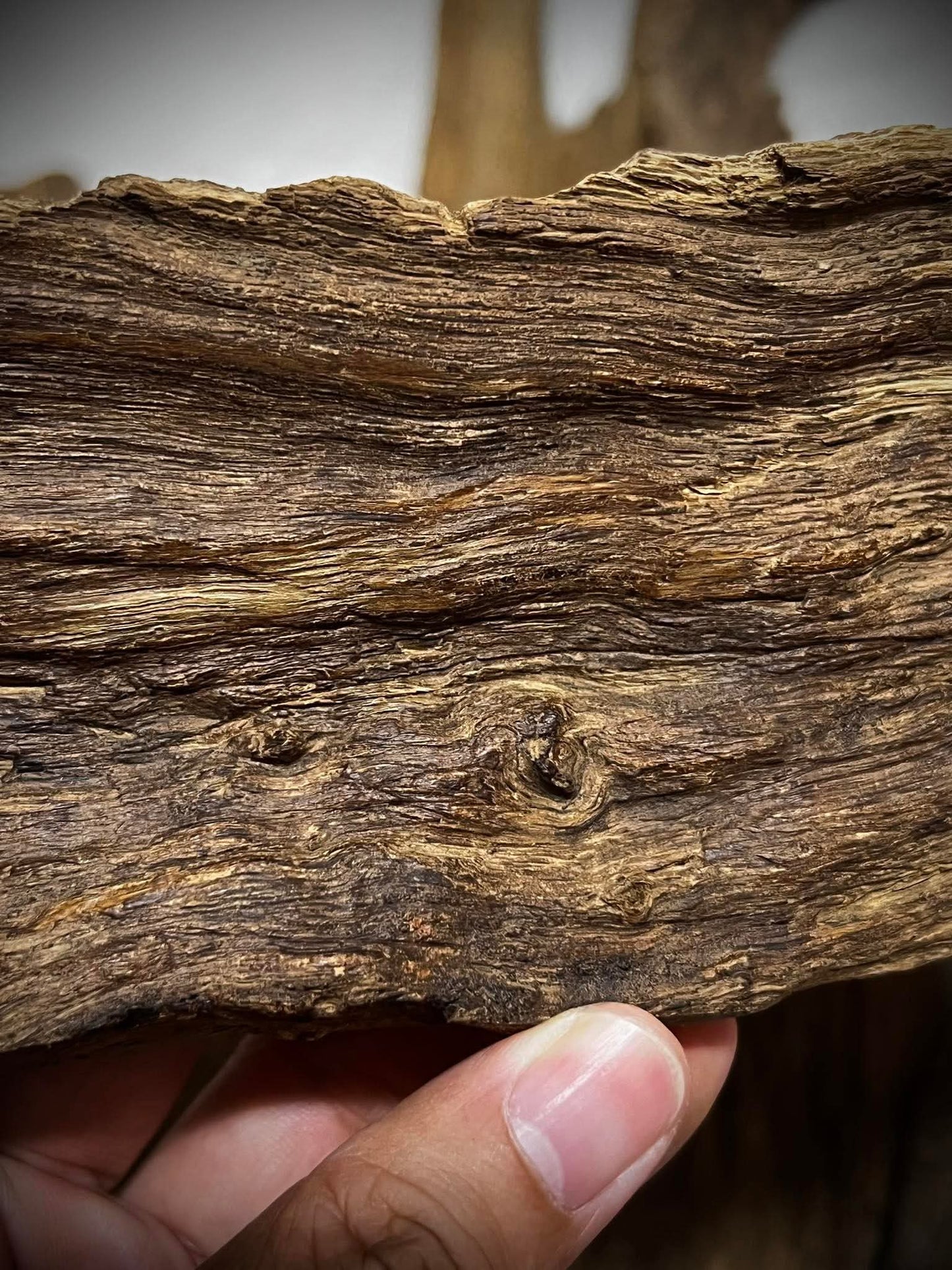 Ant and Clay 2022  - Kuala Pilah - Negeri Sembilan - West Malaysia - Pure Artisan Malay Oud Oil - Dehn al Oud