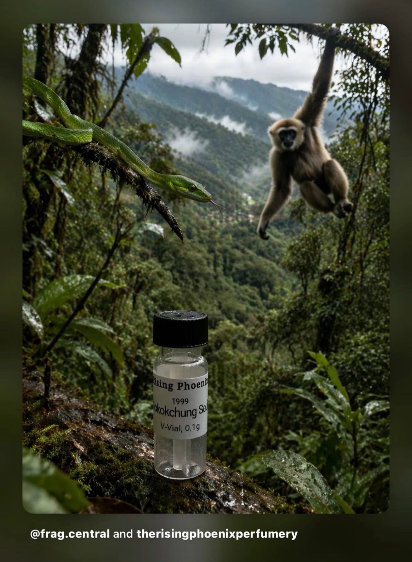 Mokokchung Seufi 1999 : Ateek Series - Pure Wild Nagaland Oud Oil - Pure Dehn al Oud