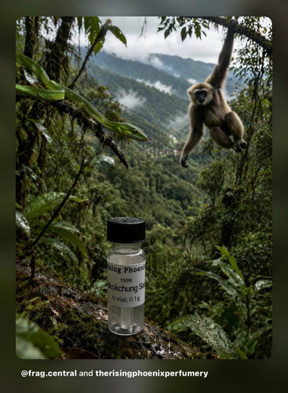 Mokokchung Seufi 1999 : Ateek Series - Pure Wild Nagaland Oud Oil - Pure Dehn al Oud