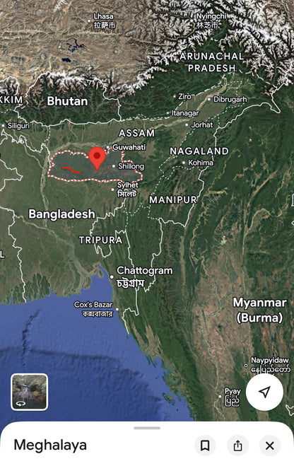 Garlois 2025 - Meghalaya - India - Pure Artisan Hindi Oud Oil - Dehn al Oud