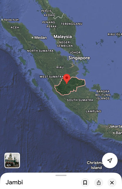 Jambi Skins 2022 - Central Sumatra - Indonesian Agarwood