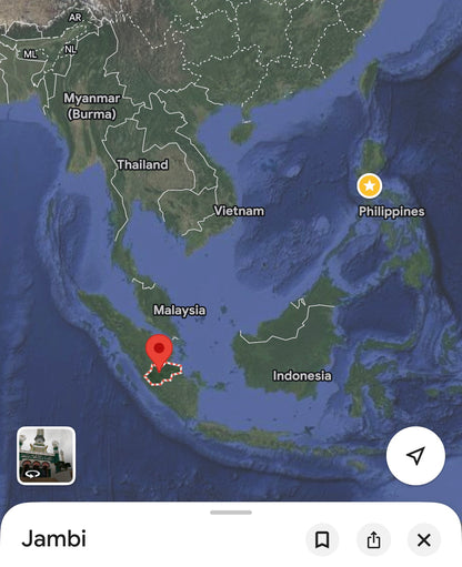 Jambi Skins 2022 - Central Sumatra - Indonesian Agarwood