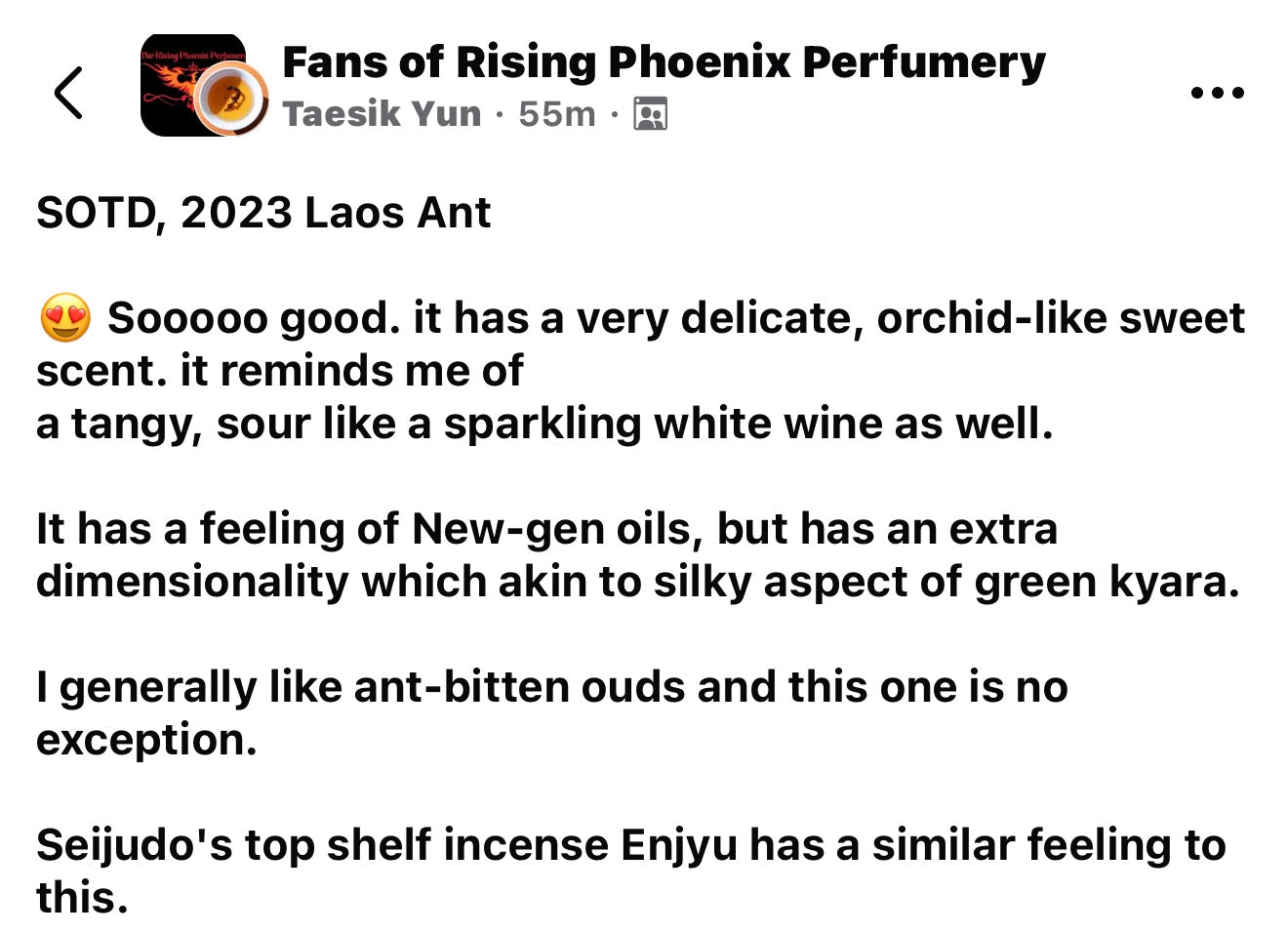Laos Ant 2023 : New Gen Incense Grade Wild Central Laos Antwood Pure Oud Oil - Dehn al Oudh - Borikhamxay Series