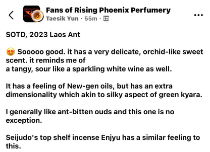Laos Ant 2023 : New Gen Incense Grade Wild Central Laos Antwood Pure Oud Oil - Dehn al Oudh - Borikhamxay Series