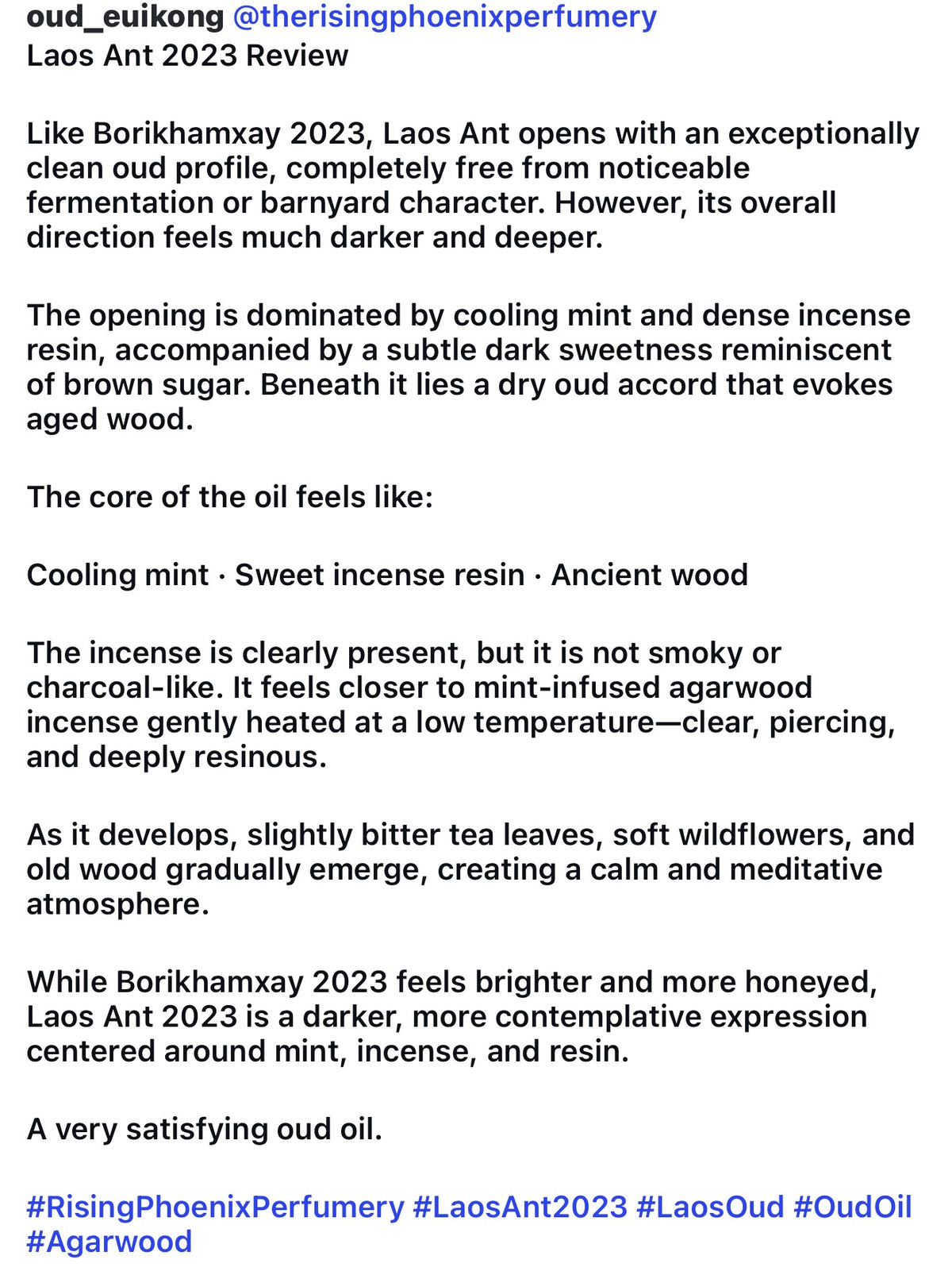 Laos Ant 2023 : New Gen Incense Grade Wild Central Laos Antwood Pure Oud Oil - Dehn al Oudh - Borikhamxay Series