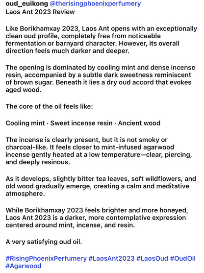 Laos Ant 2023 : New Gen Incense Grade Wild Central Laos Antwood Pure Oud Oil - Dehn al Oudh - Borikhamxay Series