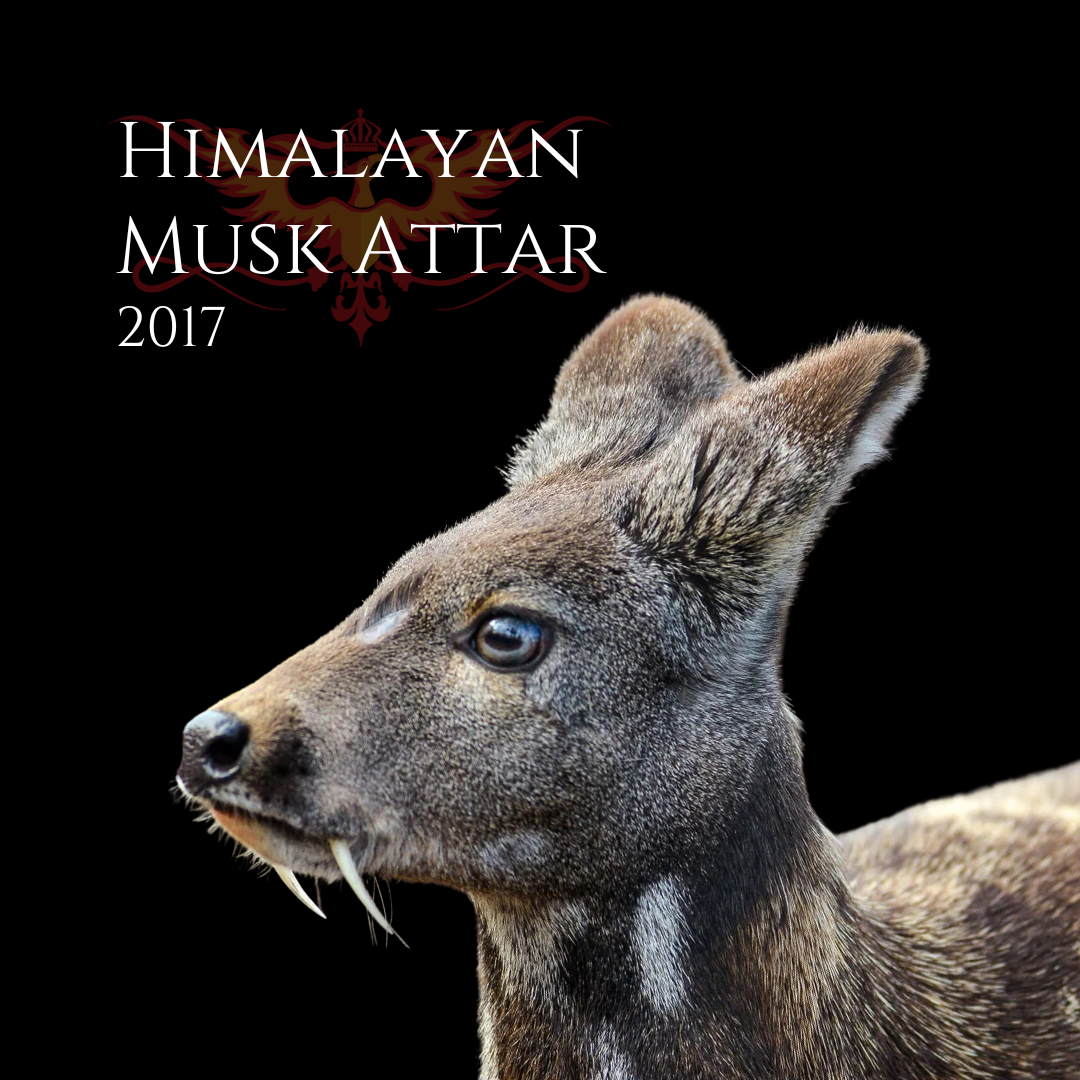 Himalayan Musk Attar 2017 - Special Anniversary Oil ...