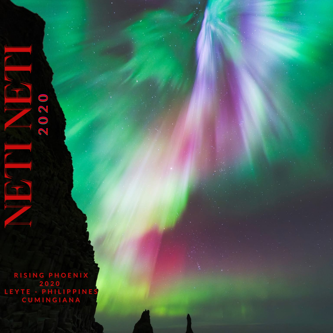 Neti Neti - Leyte 2022 - Philippines - Pure Artisan Filipino Oud Oil - Dehn al Oud