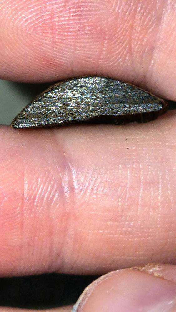 Jade Dew - 181g Meiji Log - Golden Triangle - Ateek Agarwood - Kynam - Kyara - (Korean: 비취이슬, Kanji: 翠露, Japanese: Midori Ro, English: Jade Dew)