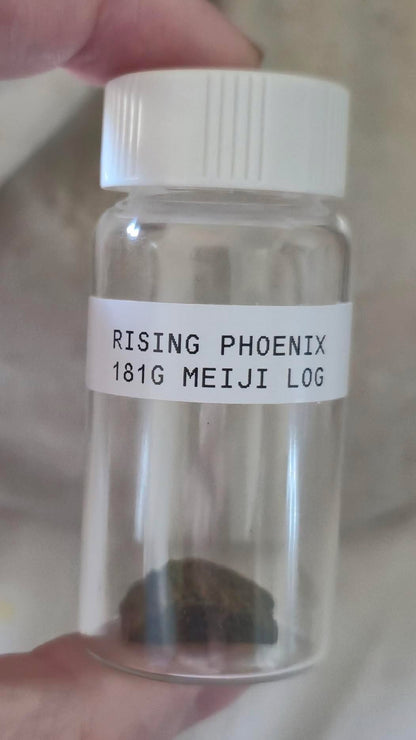 Jade Dew - 181g Meiji Log - Golden Triangle - Ateek Agarwood - Kynam - Kyara - (Korean: 비취이슬, Kanji: 翠露, Japanese: Midori Ro, English: Jade Dew)