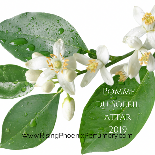 Pomme du Soleil Attar 2019