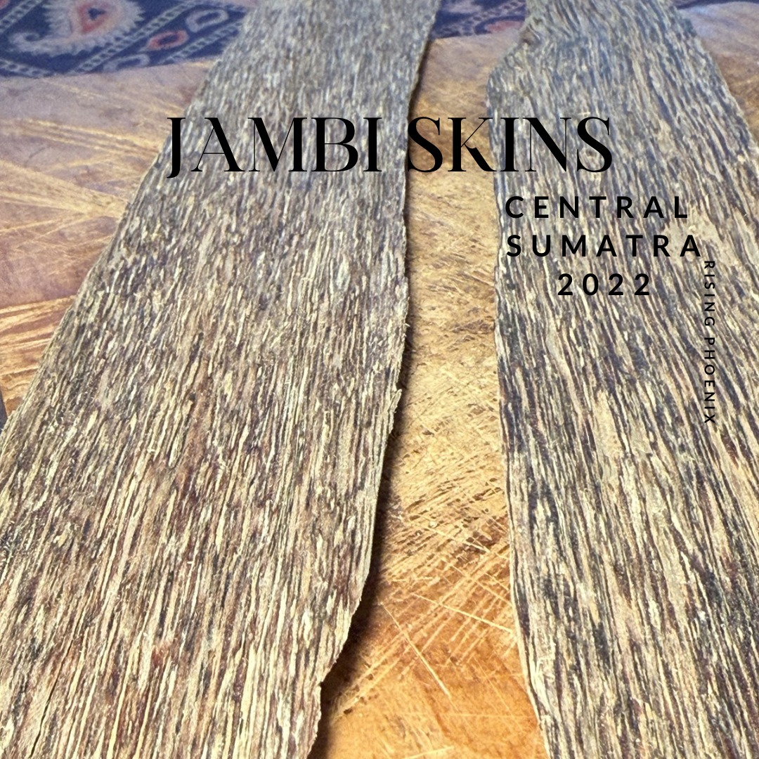 Jambi Skins 2022 - Central Sumatra - Indonesian Agarwood