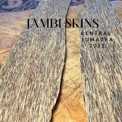 Jambi Skins 2022 - Central Sumatra - Indonesian Agarwood