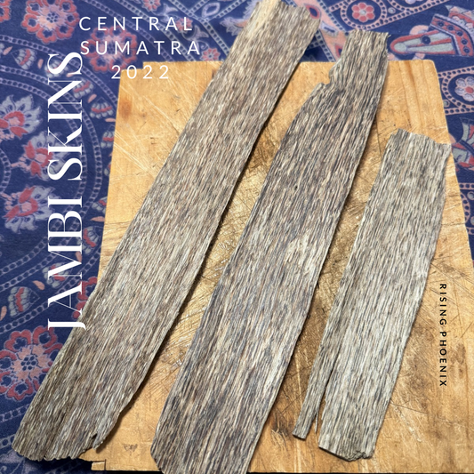 Jambi Skins 2022 - Central Sumatra - Indonesian Agarwood