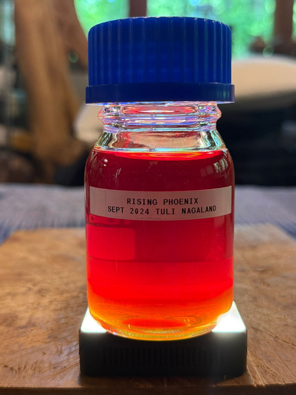 Tuli 2024 - Pure Nagaland Hindi Oud Oil – RisingPhoenixPerfumery.com