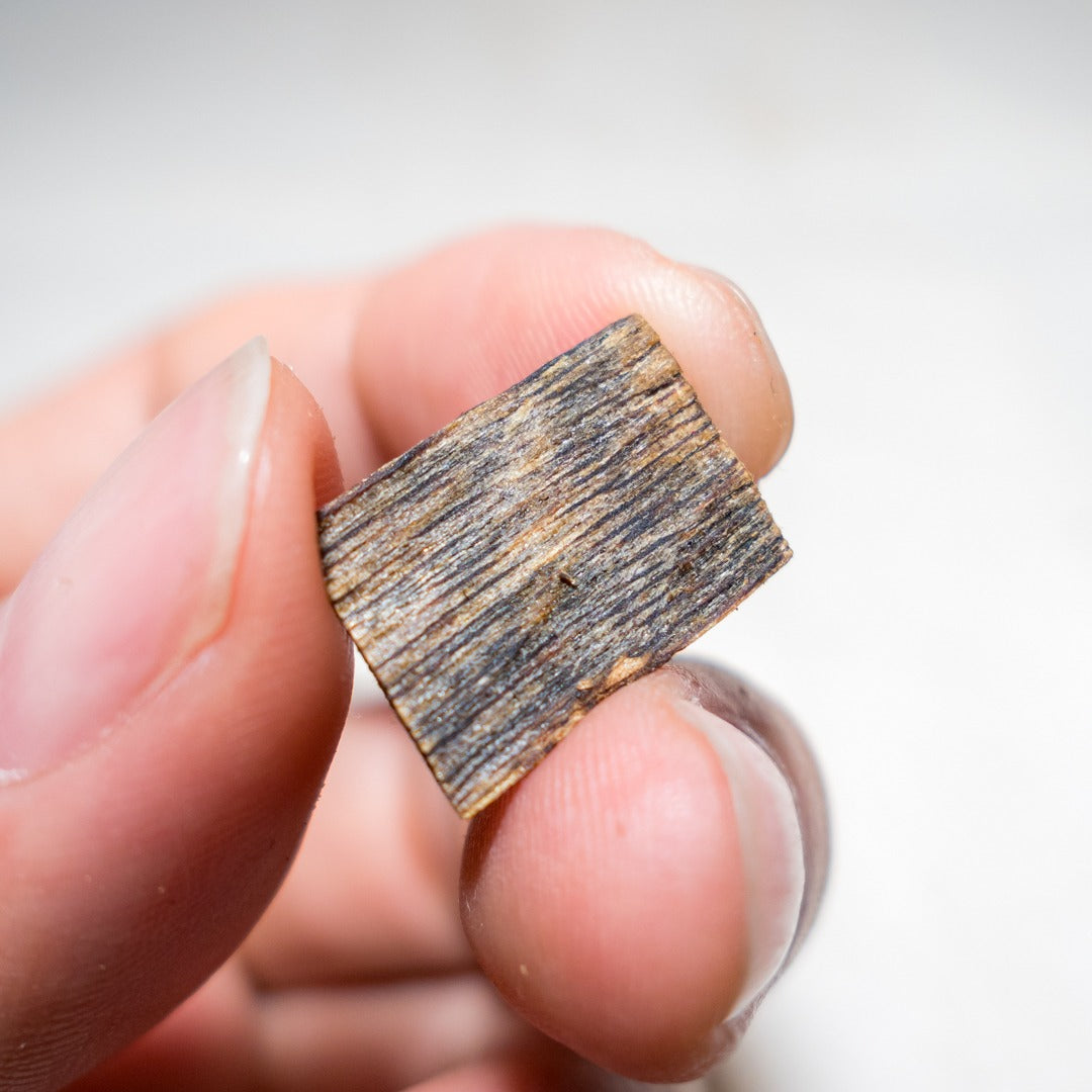 1980’s Wild GREEN OIL Kynam 0.5g - Japanese Monkoh Grade Kyara - Ultra Premium Agarwood