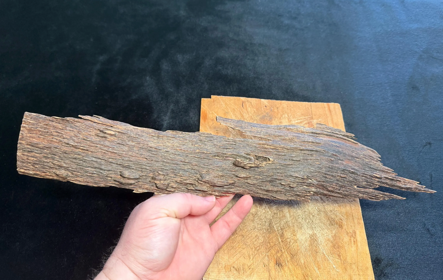 Wild Old Tree Indian Hindi Agarwood - Hmarkhawlien, Assam / Manipur Border (86 gram)