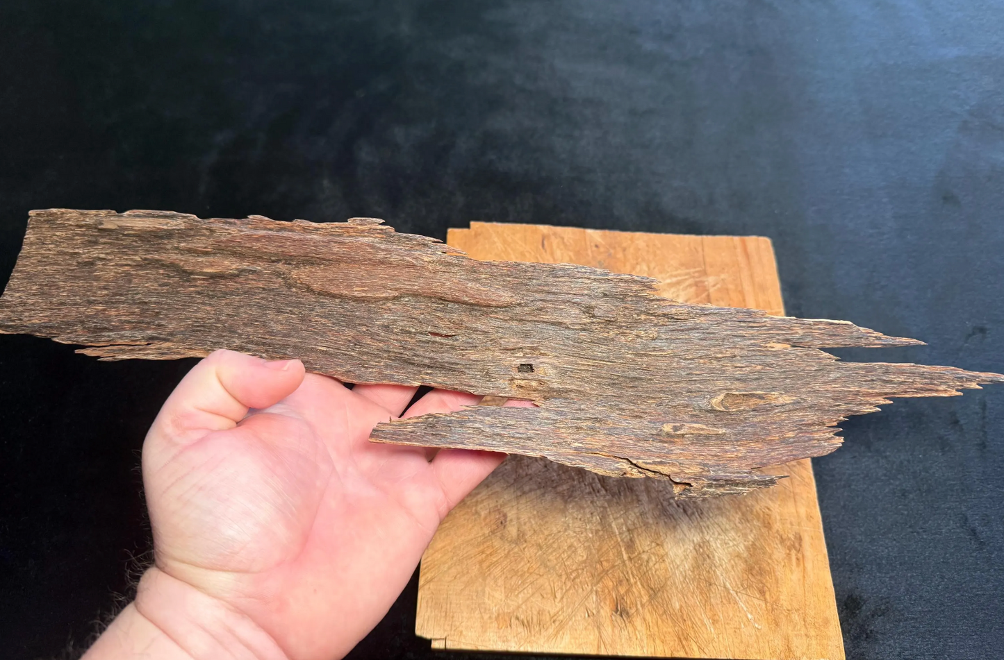 Wild Old Tree Indian Hindi Agarwood - Hmarkhawlien, Assam / Manipur Border (86 gram)