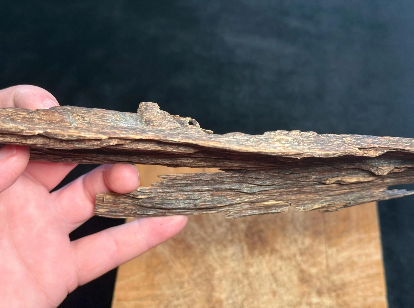 Wild Old Tree Indian Hindi Agarwood - Hmarkhawlien, Assam / Manipur Border (86 gram)