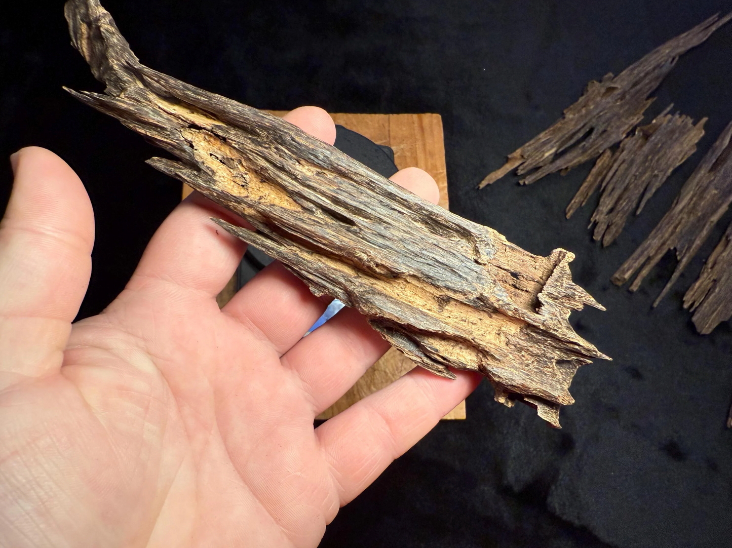 Wild Old Tree Indian Hindi Agarwood - Hmarkhawlien, Assam / Manipur Border (17 grams)