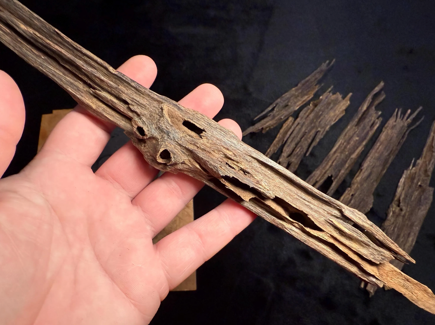 Wild Old Tree Indian Hindi Agarwood - Hmarkhawlien, Assam / Manipur Border (22 grams