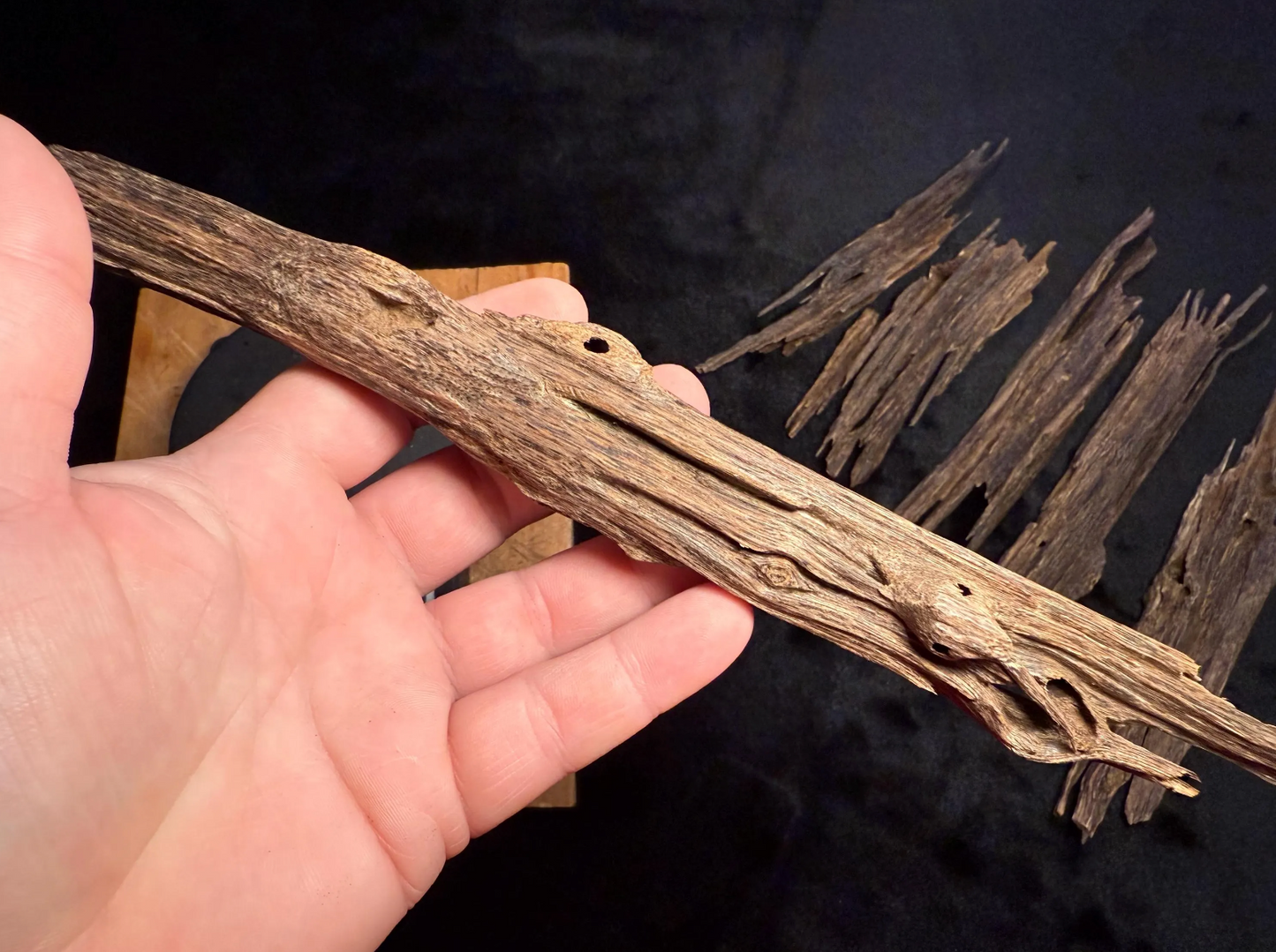 Wild Old Tree Indian Hindi Agarwood - Hmarkhawlien, Assam / Manipur Border (22 grams
