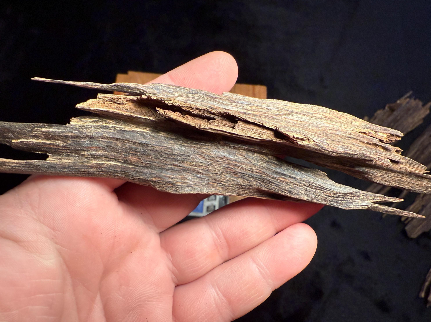 Wild Old Tree Indian Hindi Agarwood - Hmarkhawlien, Assam / Manipur Border (18 grams)