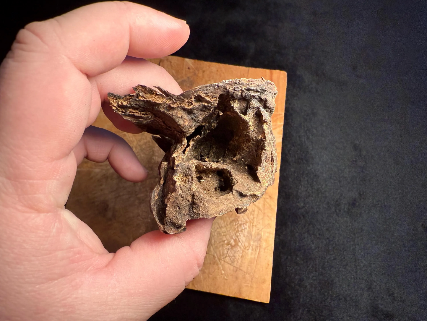 Wild Old Tree Indian Hindi Agarwood - Hmarkhawlien, Assam / Manipur Border (87 grams)