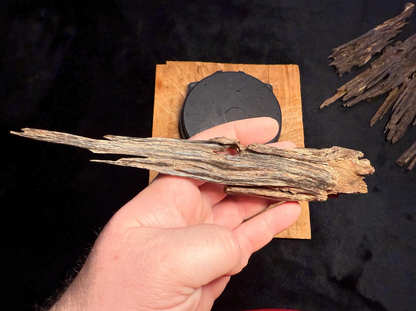 Wild Old Tree Indian Hindi Agarwood - Hmarkhawlien, Assam / Manipur Border (23 grams)