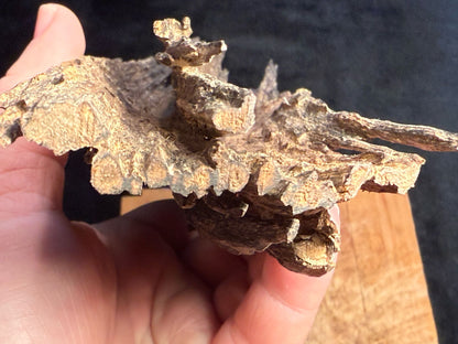 Wild Old Tree Indian Hindi Agarwood - Hmarkhawlien, Assam / Manipur Border (102 gram)