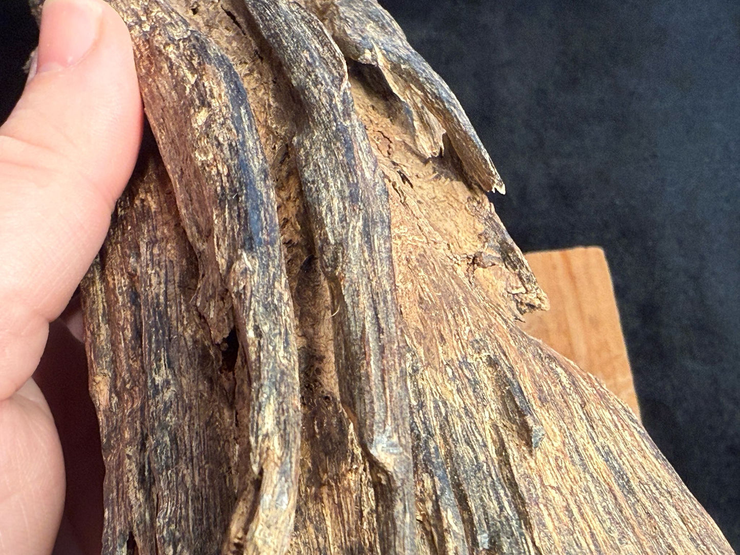 Wild Old Tree Indian Hindi Agarwood - Hmarkhawlien, Assam / Manipur Border (102 gram)