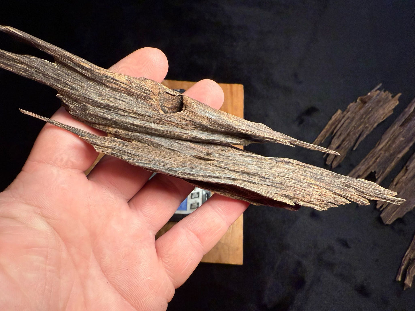 Wild Old Tree Indian Hindi Agarwood - Hmarkhawlien, Assam / Manipur Border (18 grams)