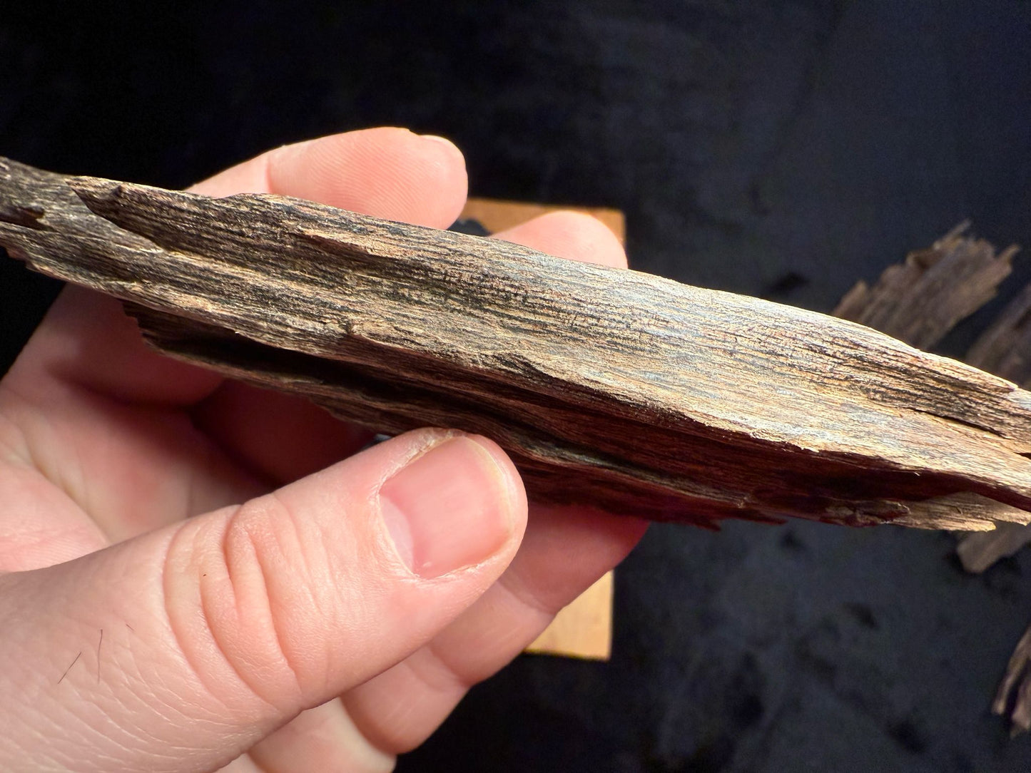 Wild Old Tree Indian Hindi Agarwood - Hmarkhawlien, Assam / Manipur Border (18 grams)
