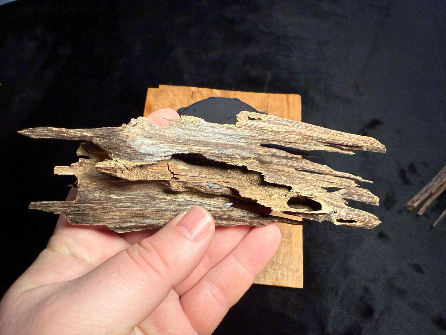 Wild Old Tree Indian Hindi Agarwood - Hmarkhawlien, Assam / Manipur Border (22 grams)