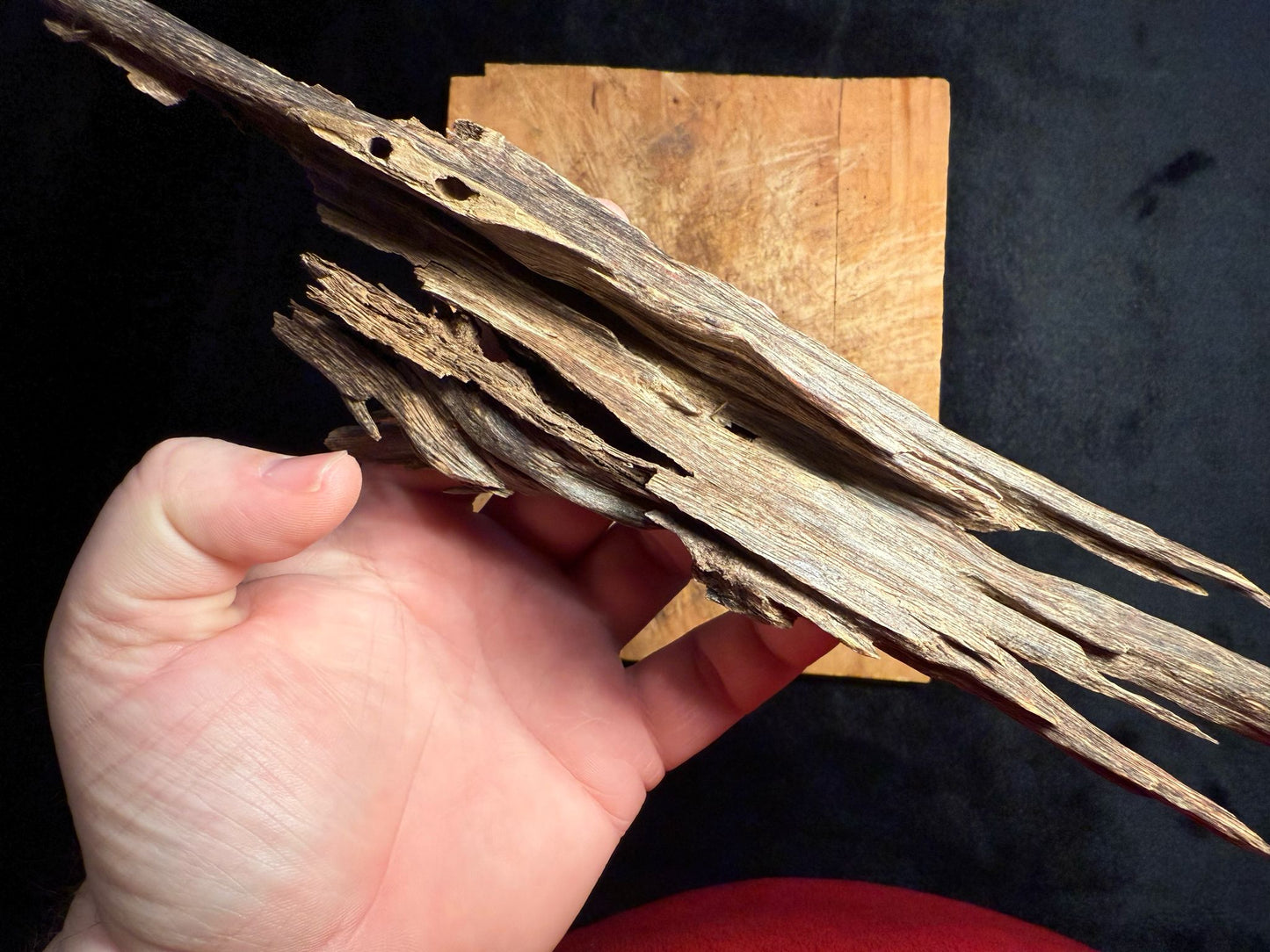 Wild Old Tree Indian Hindi Agarwood - Hmarkhawlien, Assam / Manipur Border (41 grams)