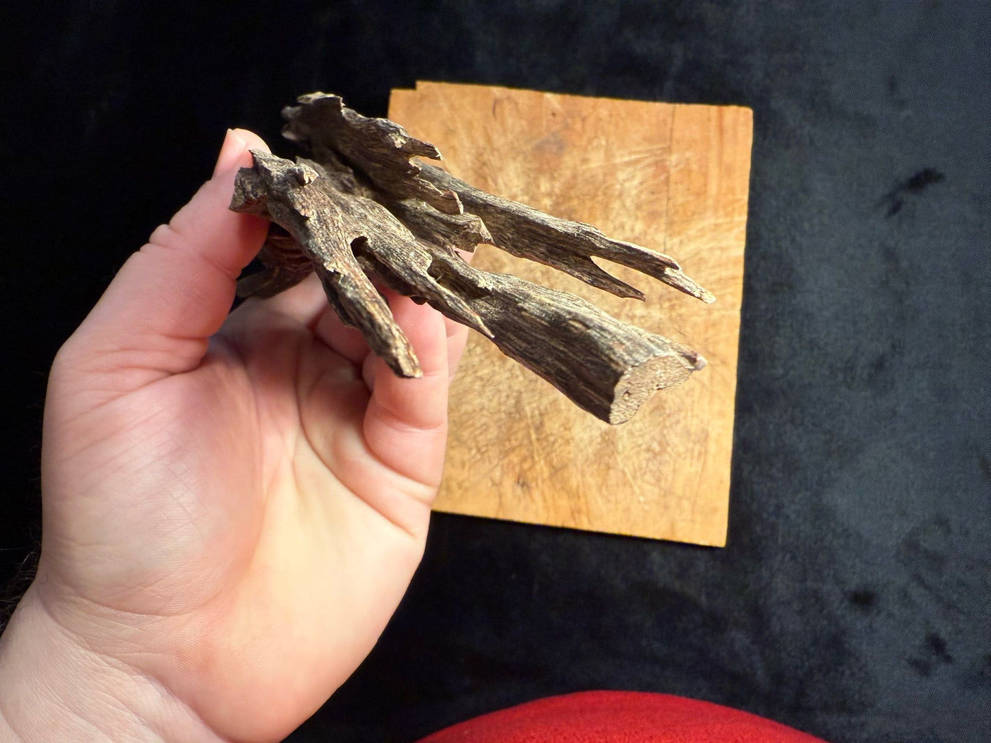 Wild Old Tree Indian Hindi Agarwood - Hmarkhawlien, Assam / Manipur Border (41 grams)