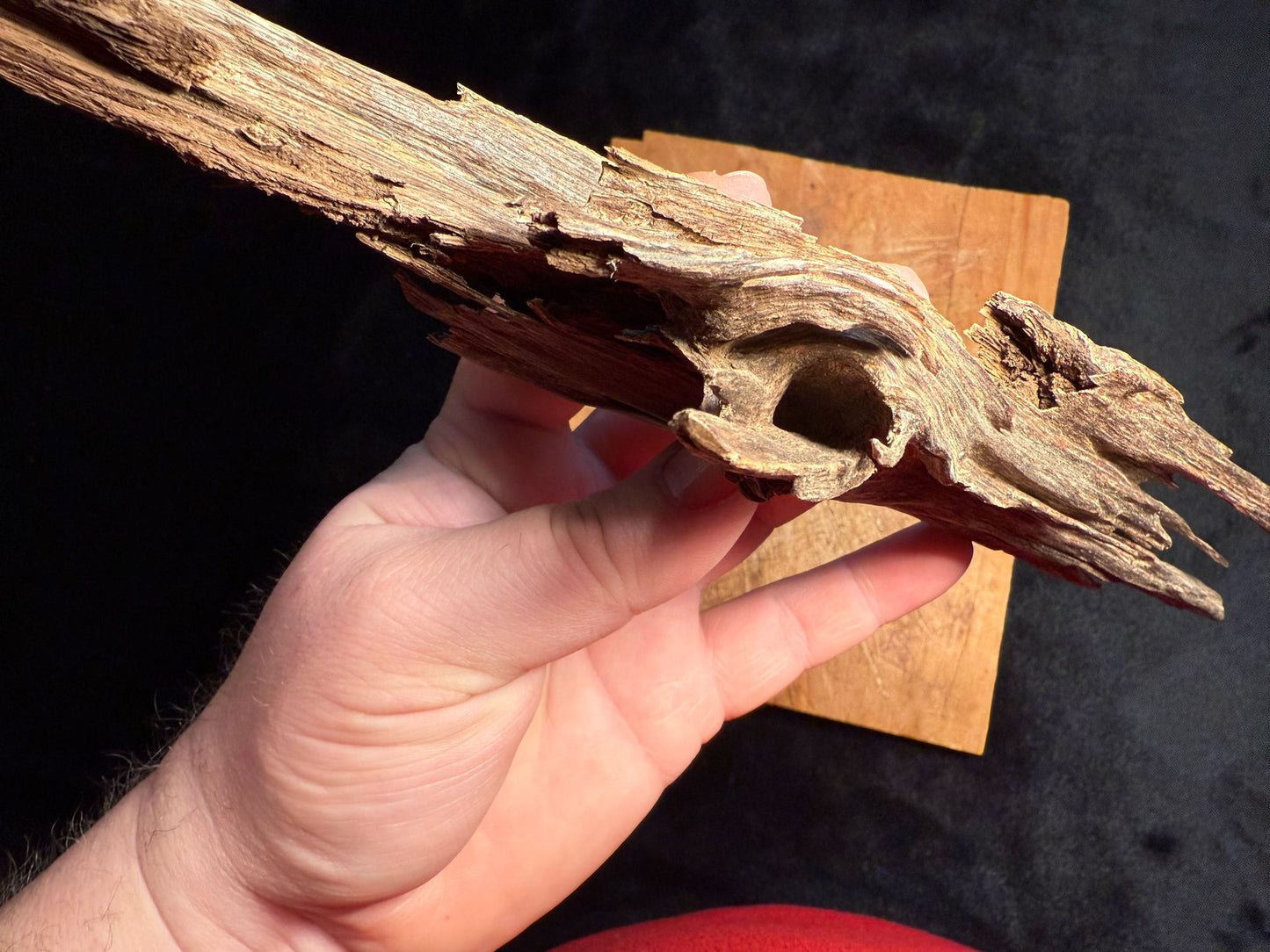 Wild Old Tree Indian Hindi Agarwood - Hmarkhawlien, Assam / Manipur Border (41 grams)