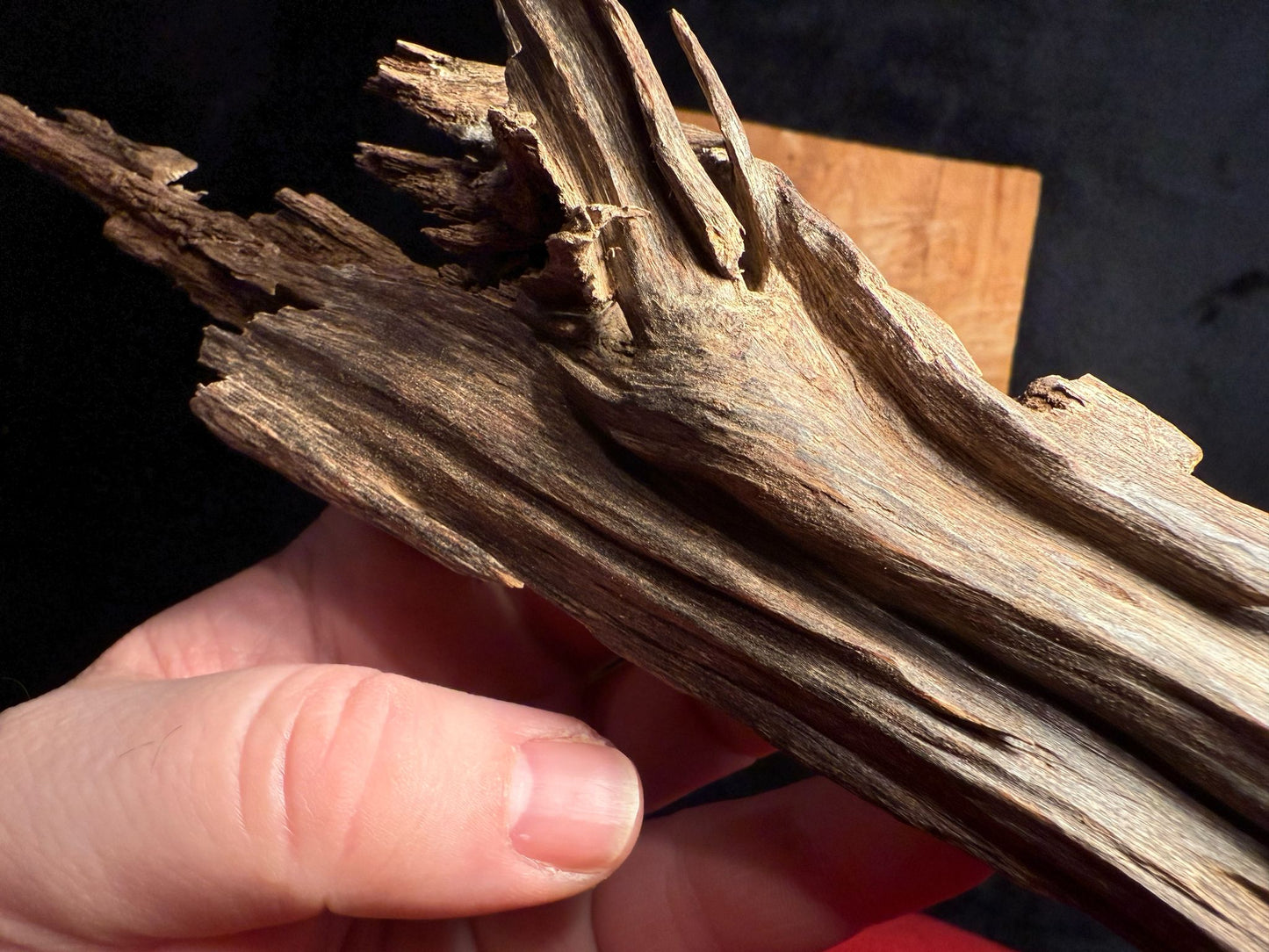 Wild Old Tree Indian Hindi Agarwood - Hmarkhawlien, Assam / Manipur Border (41 grams)