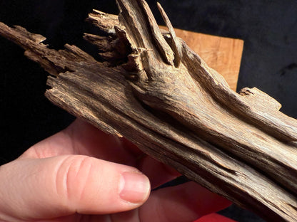 Wild Old Tree Indian Hindi Agarwood - Hmarkhawlien, Assam / Manipur Border (41 grams)