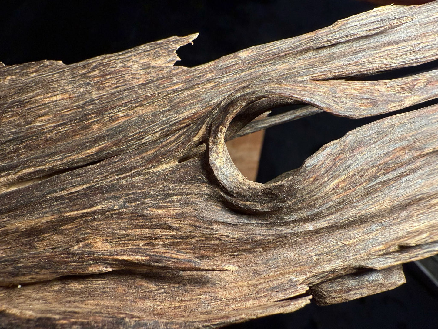 Wild Old Tree Indian Hindi Agarwood - Hmarkhawlien, Assam / Manipur Border (70 grams)