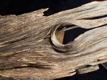 Wild Old Tree Indian Hindi Agarwood - Hmarkhawlien, Assam / Manipur Border (70 grams)