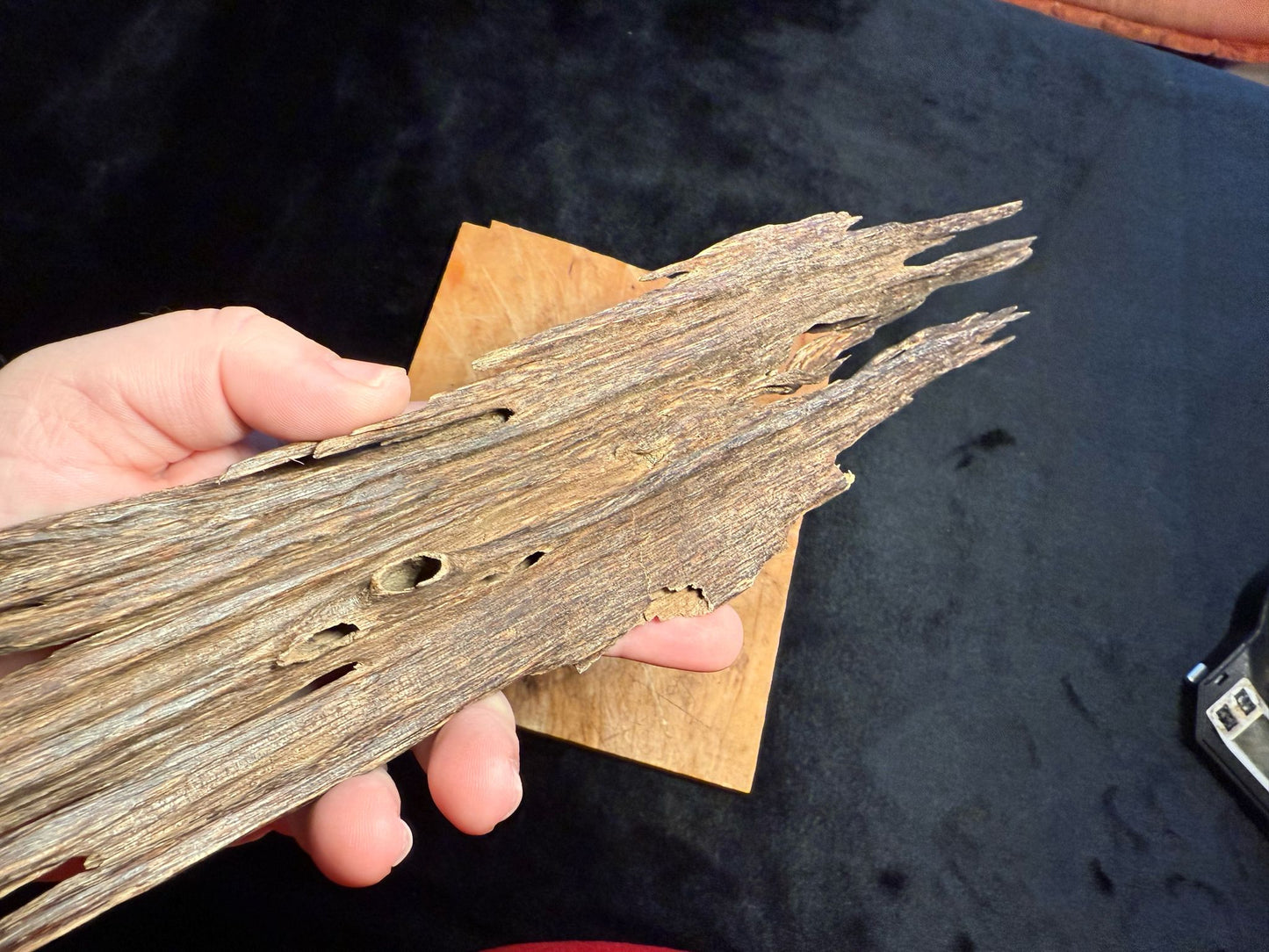Wild Old Tree Indian Hindi Agarwood - Hmarkhawlien, Assam / Manipur Border (70 grams)