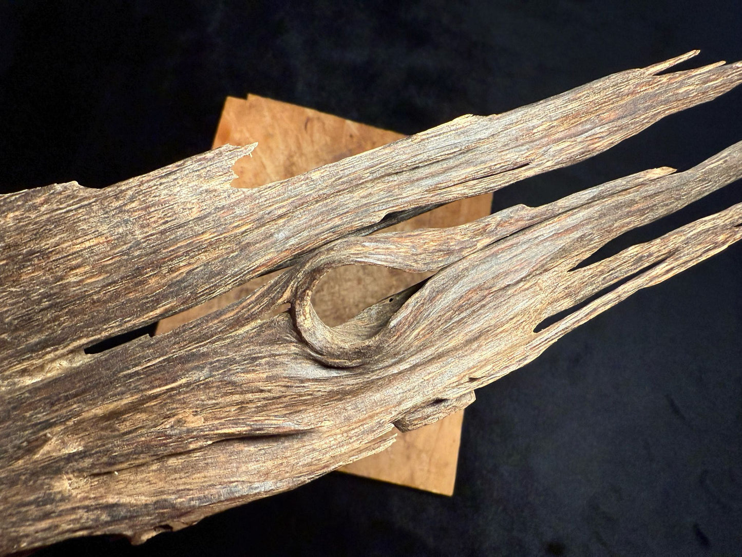 Wild Old Tree Indian Hindi Agarwood - Hmarkhawlien, Assam / Manipur Border (70 grams)