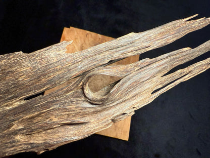 Wild Old Tree Indian Hindi Agarwood - Hmarkhawlien, Assam / Manipur Border (70 grams)