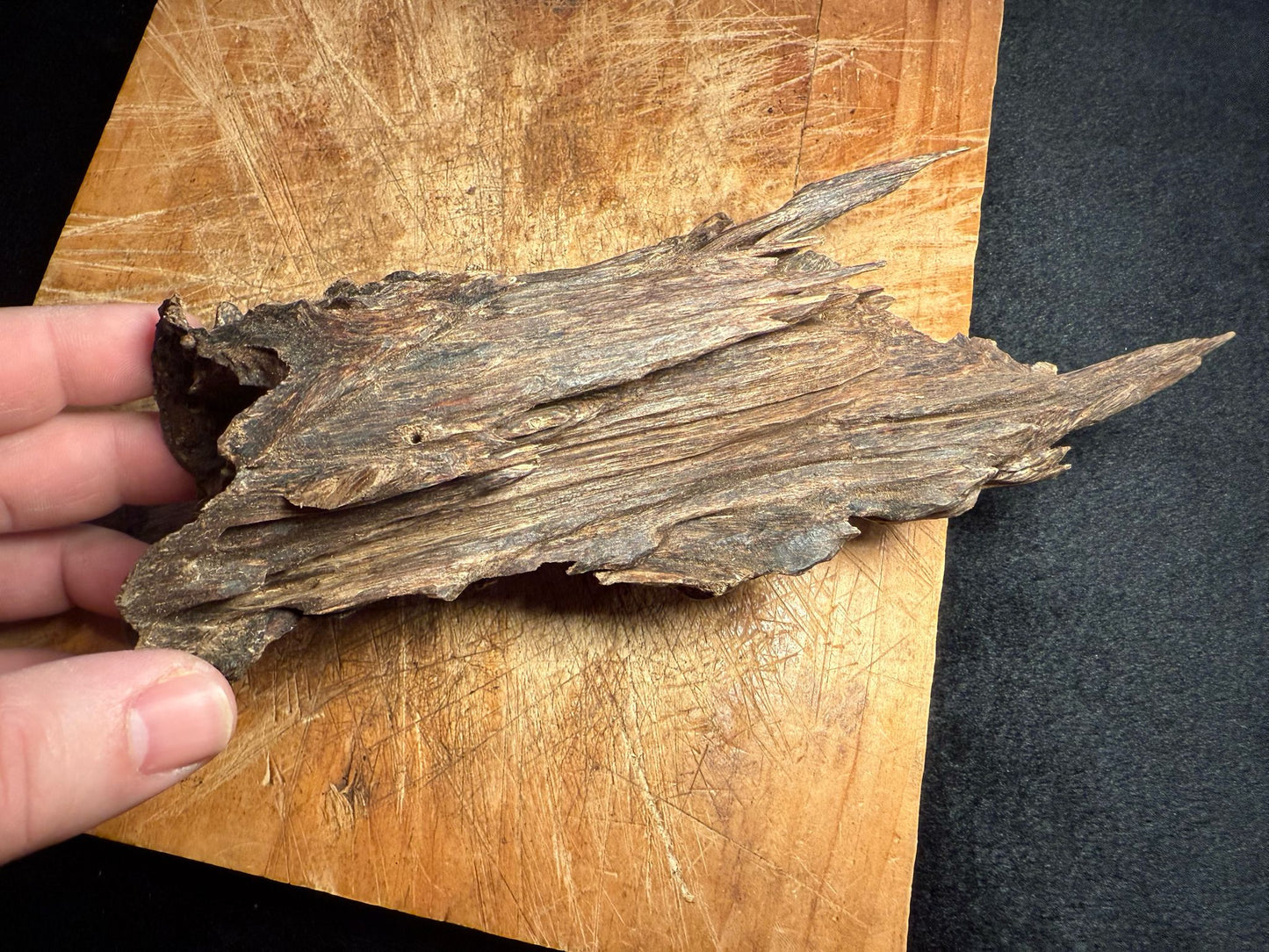 Wild Old Tree Indian Hindi Agarwood - Hmarkhawlien, Assam / Manipur Border (87 grams)