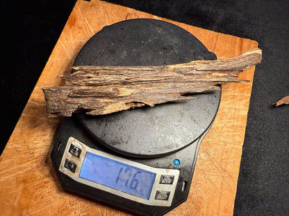 Wild Old Tree Indian Hindi Agarwood - Hmarkhawlien, Assam / Manipur Border (17 grams)