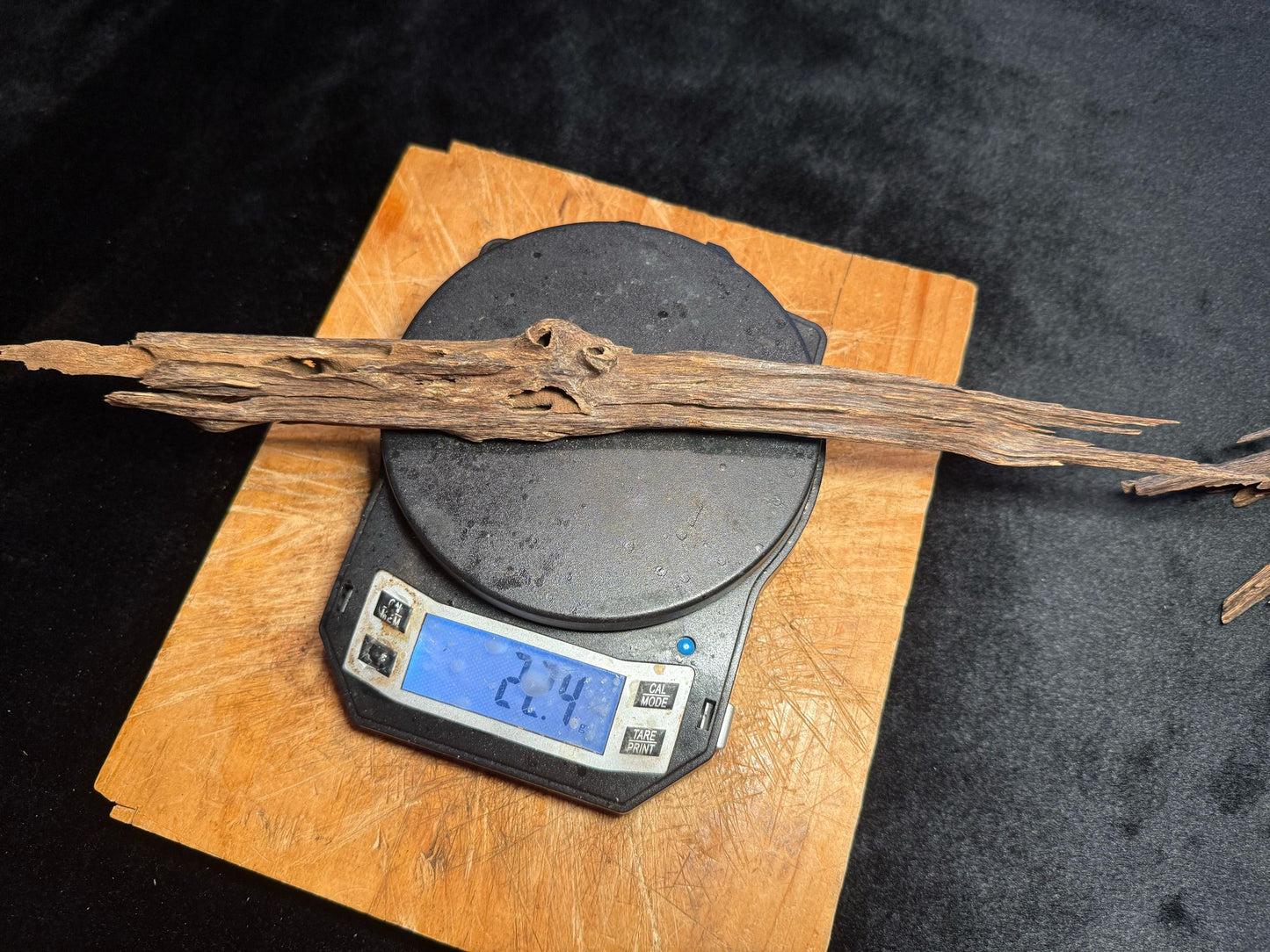 Wild Old Tree Indian Hindi Agarwood - Hmarkhawlien, Assam / Manipur Border (22 grams